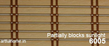 Partially Blocking Blinds Design 6005