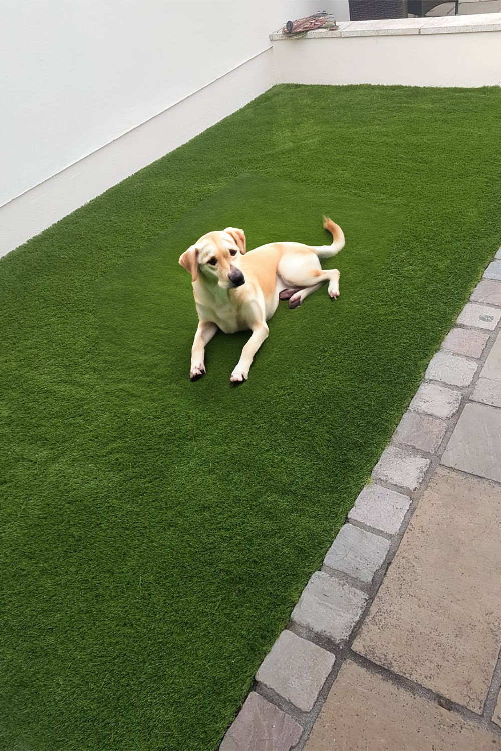 Custom Artificial Grass