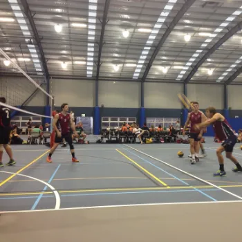VolleyBall Sports Flooring