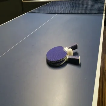 Table Tennis Sports Flooring